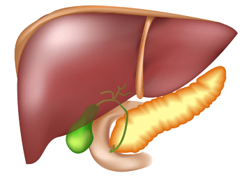 safra kesesi - Dr Mutlu Şahin